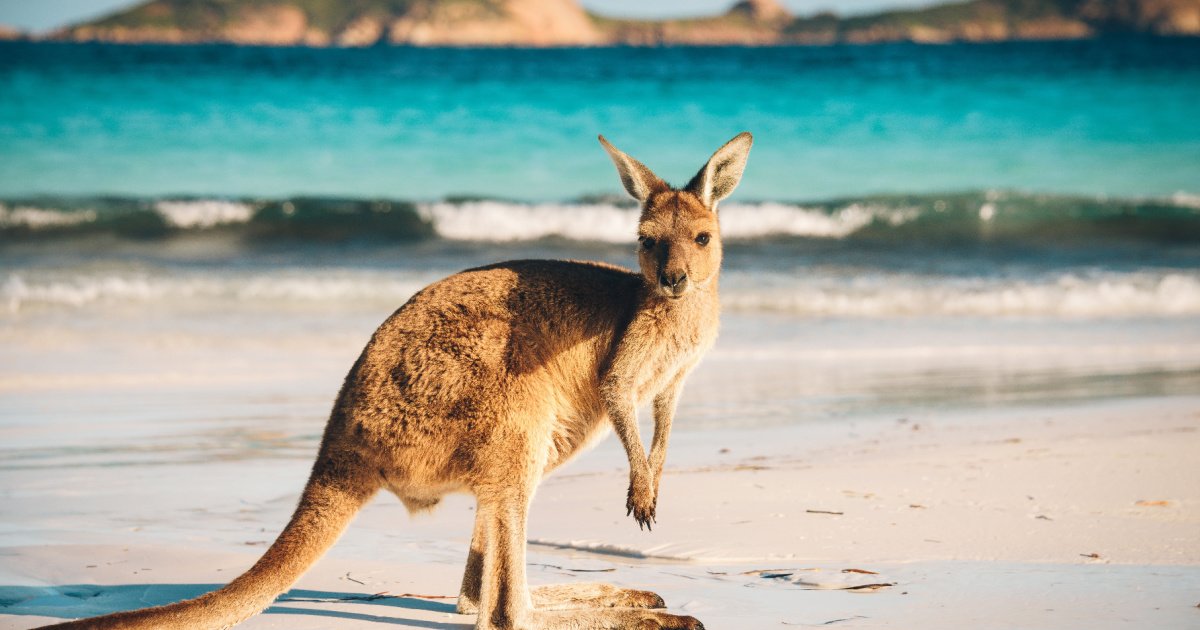 Australia Most Amazing Places