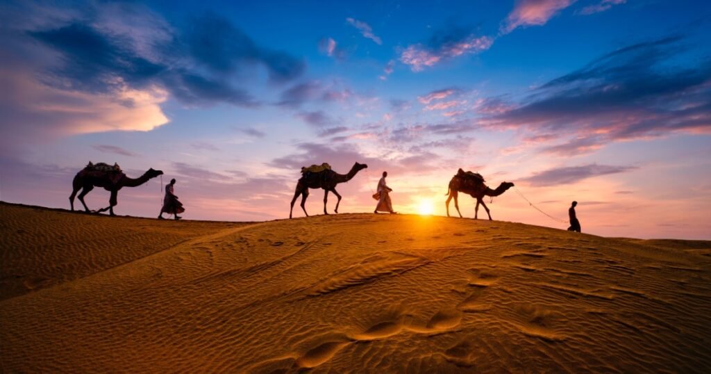 Discover the 10 Best Desert Safaris in the World | Ultimate Desert Safari Guide