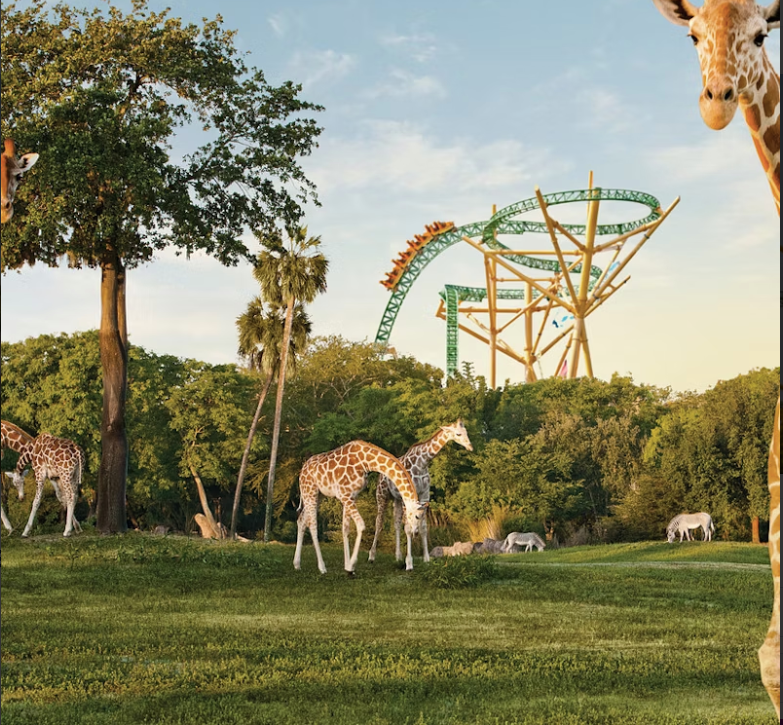 Busch Gardens® Tampa Bay delivers a thrilling family adventure with 300 acres of attractions inspired by exotic destinations.Fast Track. Buy Here!