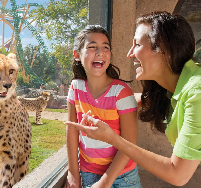 Busch Gardens® Tampa Bay delivers a thrilling family adventure with 300 acres of attractions inspired by exotic destinations.Fast Track. Buy Here! 2