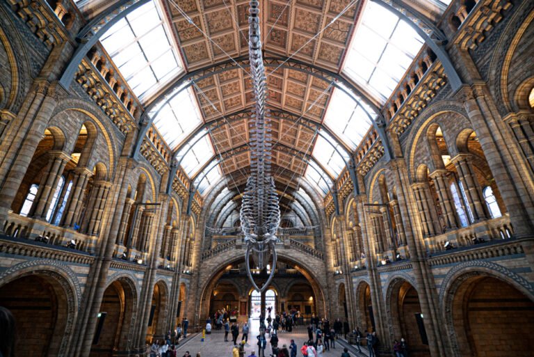 Natural History Museum