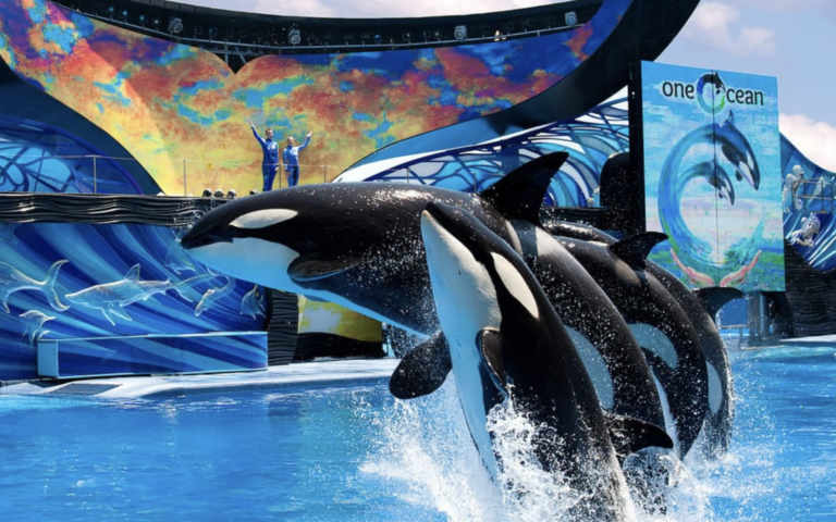 SeaWorld Orlando